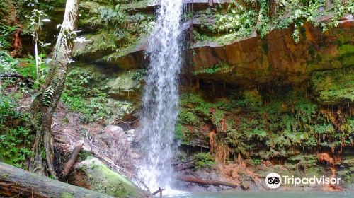 Lambir Hills National Park