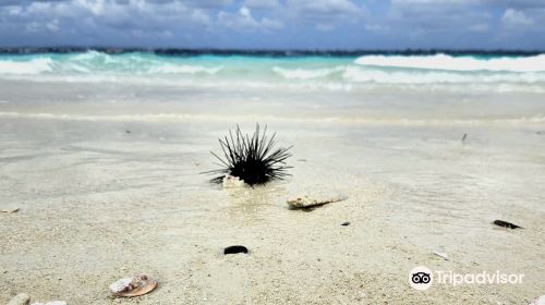 Nakupenda Beach