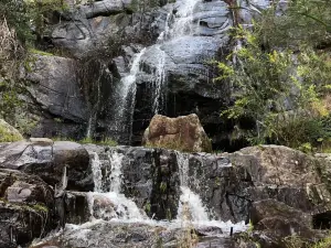 Clematis Falls