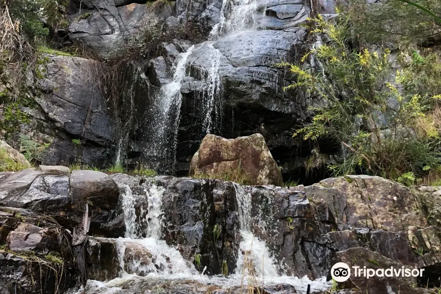 Clematis Falls