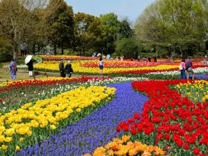 Kiso Sansen Park Center