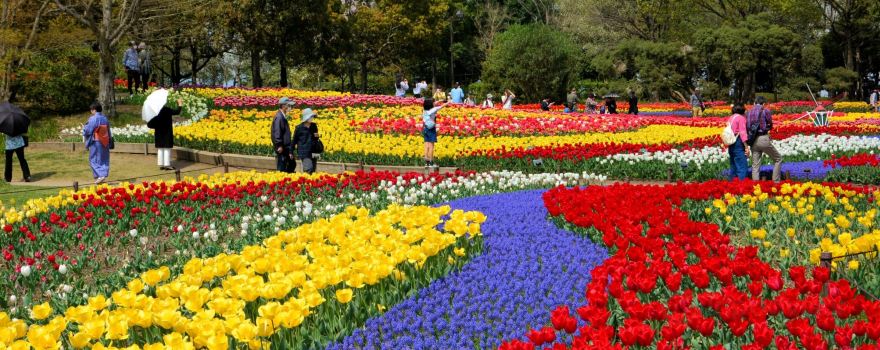 Kiso Sansen Park Center
