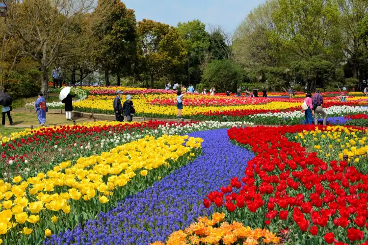 Hotels in Kaizu