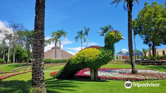 Jardines de Mexico