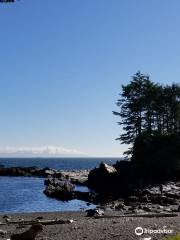 Botanical Beach Provincial Park