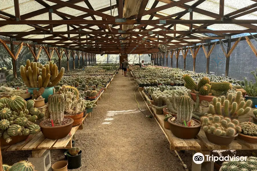 B & B Cactus Farm