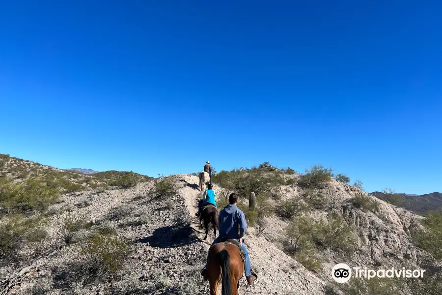 Arizona Horse Company