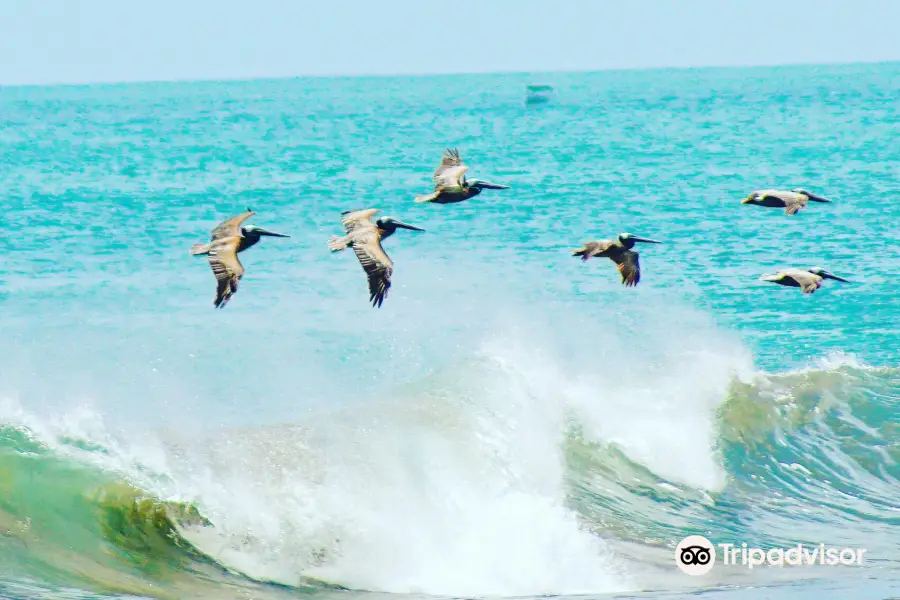 Popoyo Beach