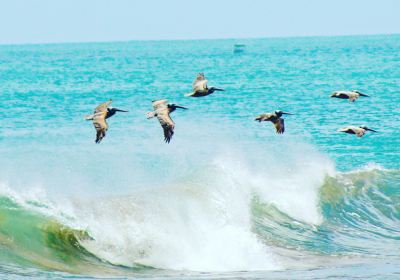 Popoyo Beach