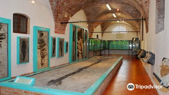 Museo dei Fossili 'Pierluigi Malinverni'