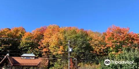 Les Vergers Lafrance