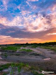 Golden Isles Convention & Visitors Bureau