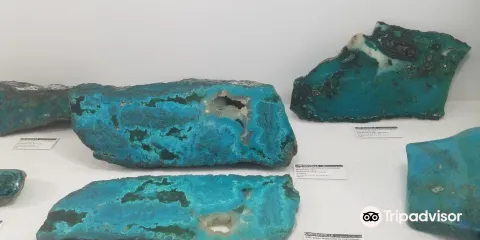 賴斯巖石和礦物西北博物館