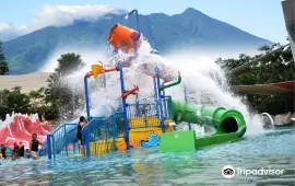 The Jungle Water Adventure