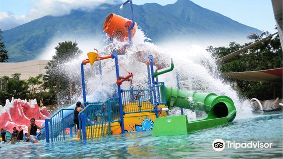 The Jungle Water Adventure