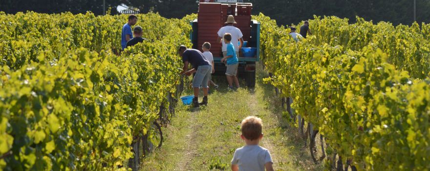 Domaine Arsac