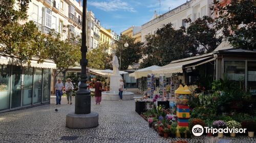 Plaza de Las Flores