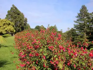 Brodick Castle, Garden and Country Park