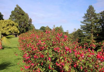 Brodick Castle, Garden and Country Park