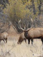 Charles M Russell National Wildlife Refuge