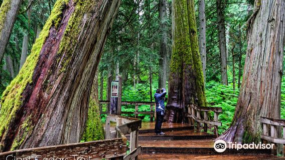 Revelstoke