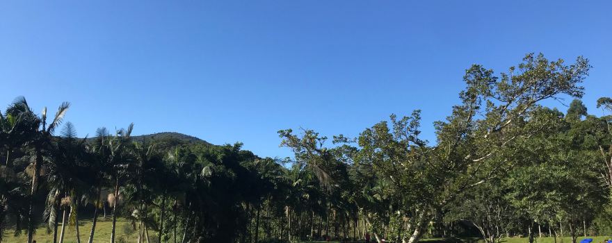 Pesque Pague São Pedro