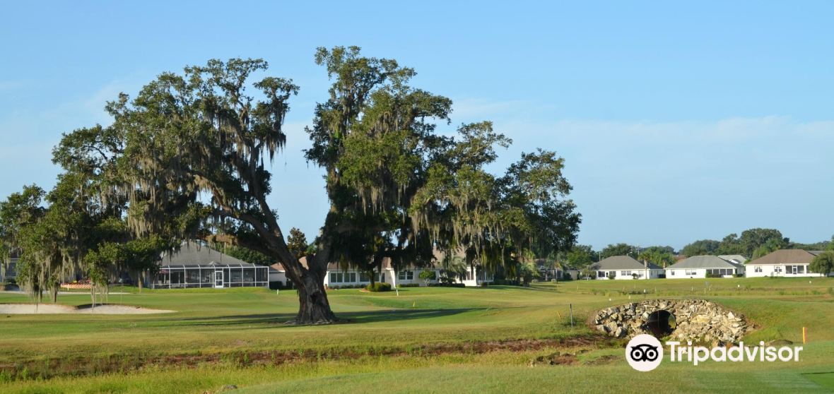 Summerfield Travel Guide 2023 Things to Do, What To Eat & Tips