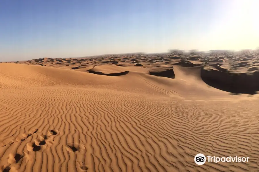 Dubai Evening Safari