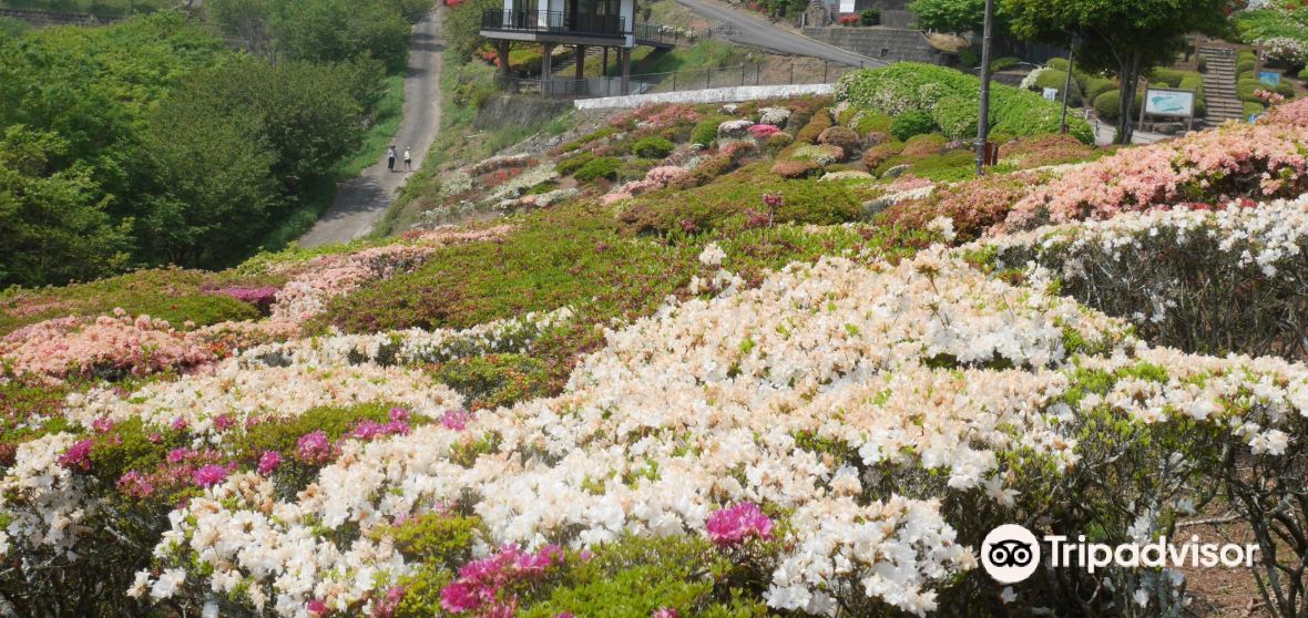 เที่ยวKishima District (2024) ที่เที่ยวใน Kishima District, กิจกรรม