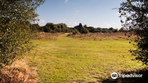 Cranford Country Park