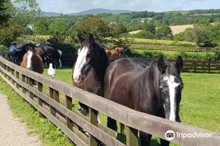 Home of Rest for Old Horses