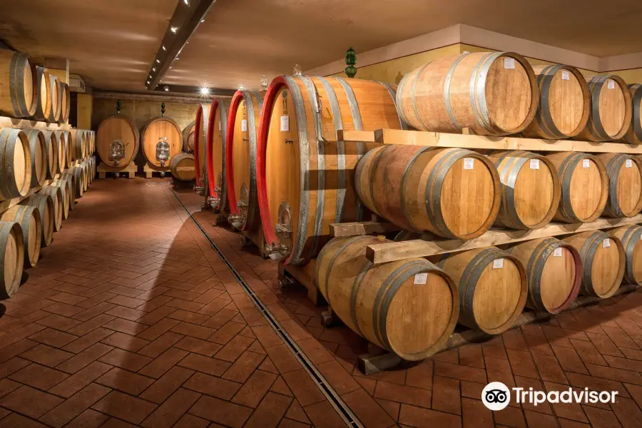 Cantalici Winery - Soc. Agri. L'Antica Fornace Di Ridolfo S.S.