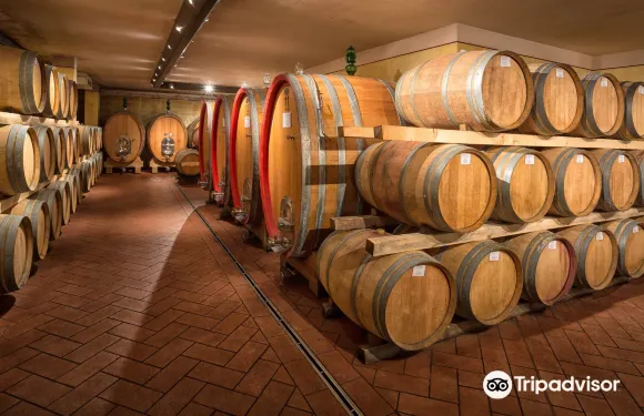 加約萊因基安蒂