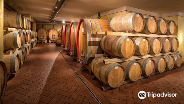 Gaiole in Chianti