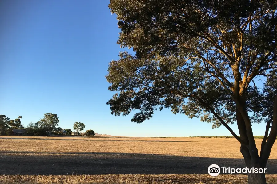 Bethany Historical Walk