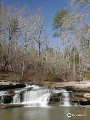 Musgrove Mill State Historic Site