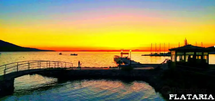 Hotels in Plataria