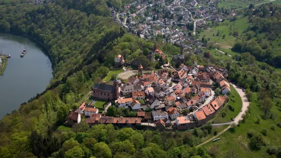 Dilsberg Castle