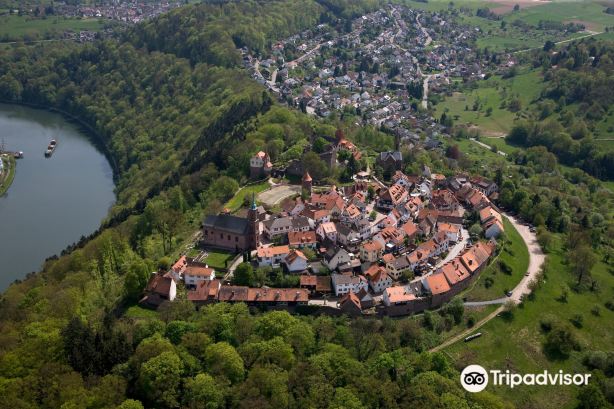 neckargemund