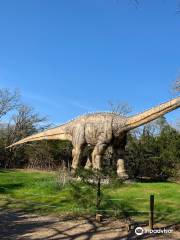 The Dinosaur Park