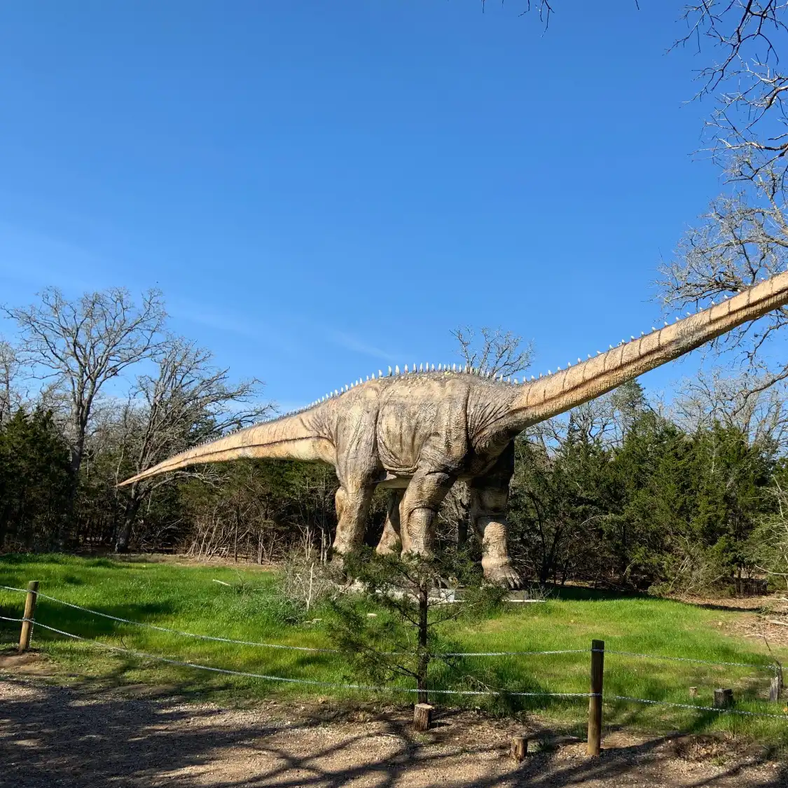 Hotels near The Dinosaur Park