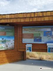 Bear River Migratory Bird Refuge