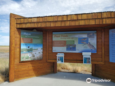 Bear River Migratory Bird Refuge Center
