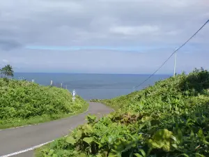 クジラの見える丘公園