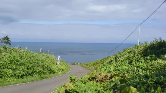 クジラの見える丘公園