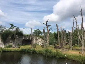 Zoom Erlebniswelt