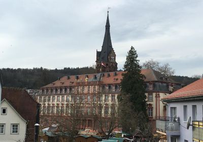Grafliche Sammlungen Schloss Erbach