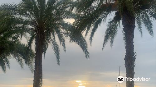 Tarpon Point Marina, Tarpon Point