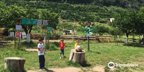 Il Giardino dell'Orco