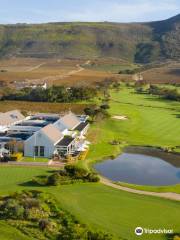 Steenberg Golf Club